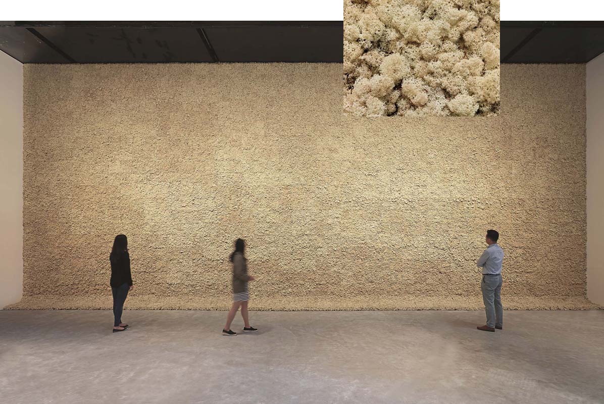 이끼벽, 1994: 전시장의 거대한 벽을 가득 채운 순록 이끼는 낯선 냄새를 풍기며 관람객들의 인식을 자연의 세계로 데려간다.